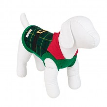 regata para pet